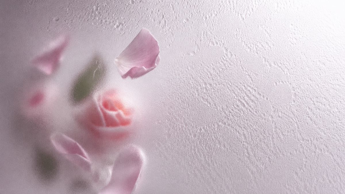 Wild Rose