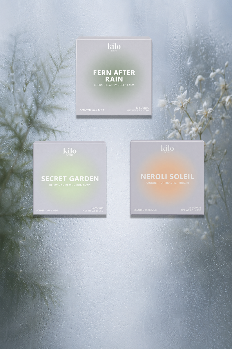 Calm & Clarity — Kilo warmer and scent cubes