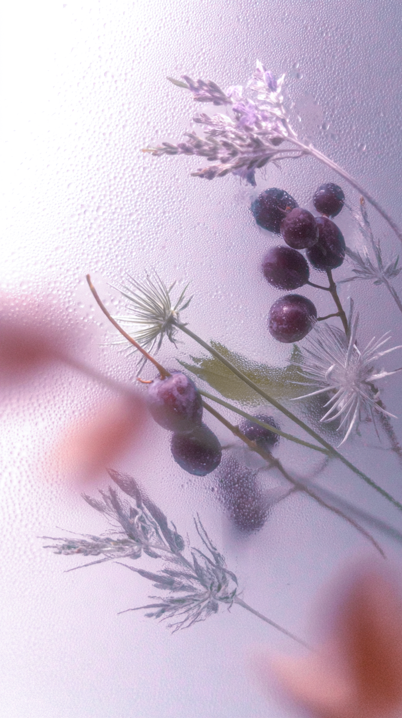 Moonlit Berry